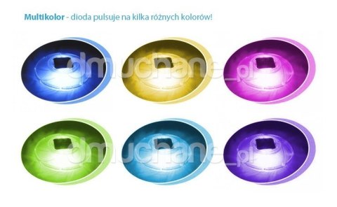 Lampka solarna do basenu śr.18 cm Bestway 58111 Lampka solarna do basenu śr.18 cm Bestway 58111